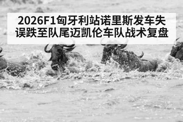 2026F1匈牙利站诺里斯发车失误跌至队尾迈凯伦车队战术复盘