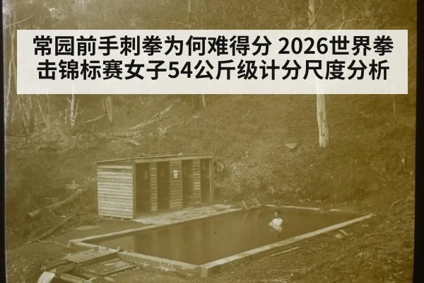 常园前手刺拳为何难得分 2026世界拳击锦标赛女子54公斤级计分尺度分析
